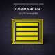 Grade de poitrine PVC Commandant divisionnaire – Administration pénitentiaire (jaune / fond bleu nuit) Grades de Poitrine mon...