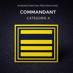 Grade de poitrine PVC Commandant Catégorie A – Administration pénitentiaire Grades de Poitrine monté sur velcro GDPAPCAGrades...