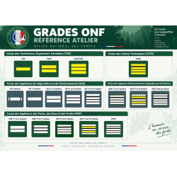 Grades de porte-carte ONF – Office National des Forêts – Doming autocollant -- Grades de Portes Carte GDPCONF-- Grades de Por...