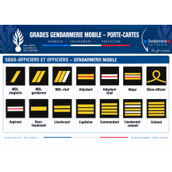 Grades de Portes Carte GM -- Grades de Portes Carte GDPCGM-- Grades de Portes Carte